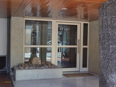 Porte d'entre en acier pour habitat collectif