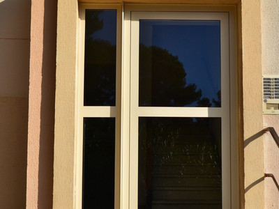 Porte d'entre immeuble en Alu